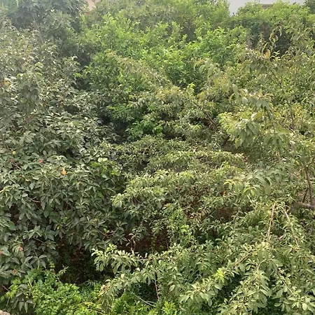 홈스테이 Flavio Relax 갈라티나