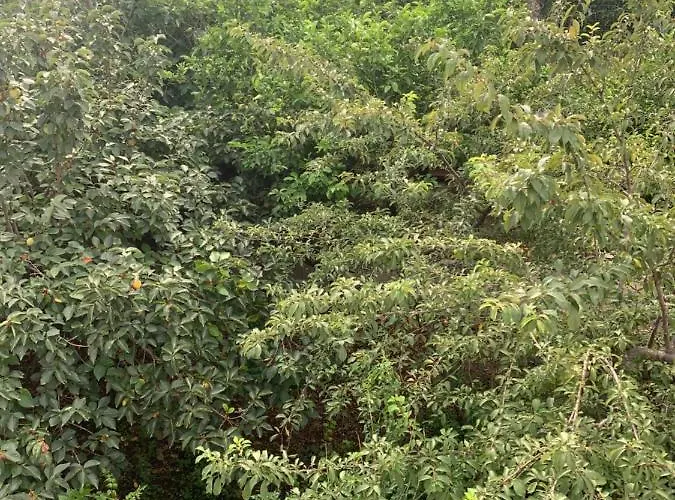 Alloggio in famiglia Flavio Relax Galatina